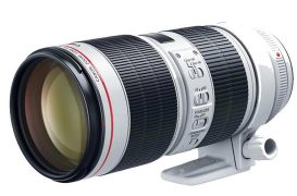 Canon EF 70-200mm f/2.8L IS III USM Lens
