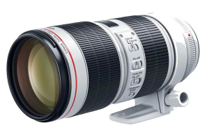 Canon EF 70-200mm f/2.8L IS III USM Lens
